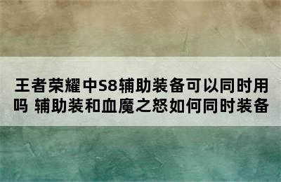 王者荣耀中S8辅助装备可以同时用吗 辅助装和血魔之怒如何同时装备